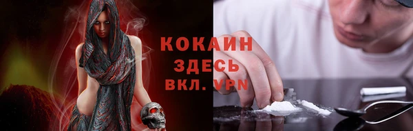 spice Алзамай