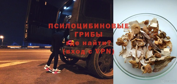 spice Алзамай