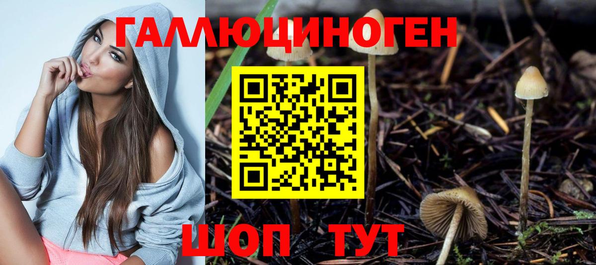 Ишим  Галлюциногенные грибы GOLDEN TEACHER  Вход с VPN 